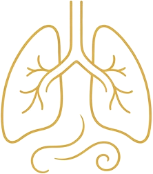 Lungs icon for the SSSSS healing sound